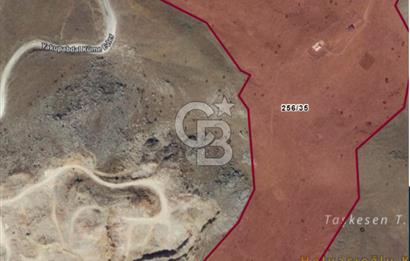 YAKUPABDAL DA KÜME EVLERİ YAKINI 256 ADA 35 PARSEL SATILIK TARLA