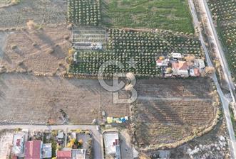 SALİHLİ MANİSA'DA 371/ 7 PARSEL 5 KAT İMARLI ARSA - 2 - 320167