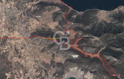 Aydın Didim Akyeniköy de Satılık Villa Arsası