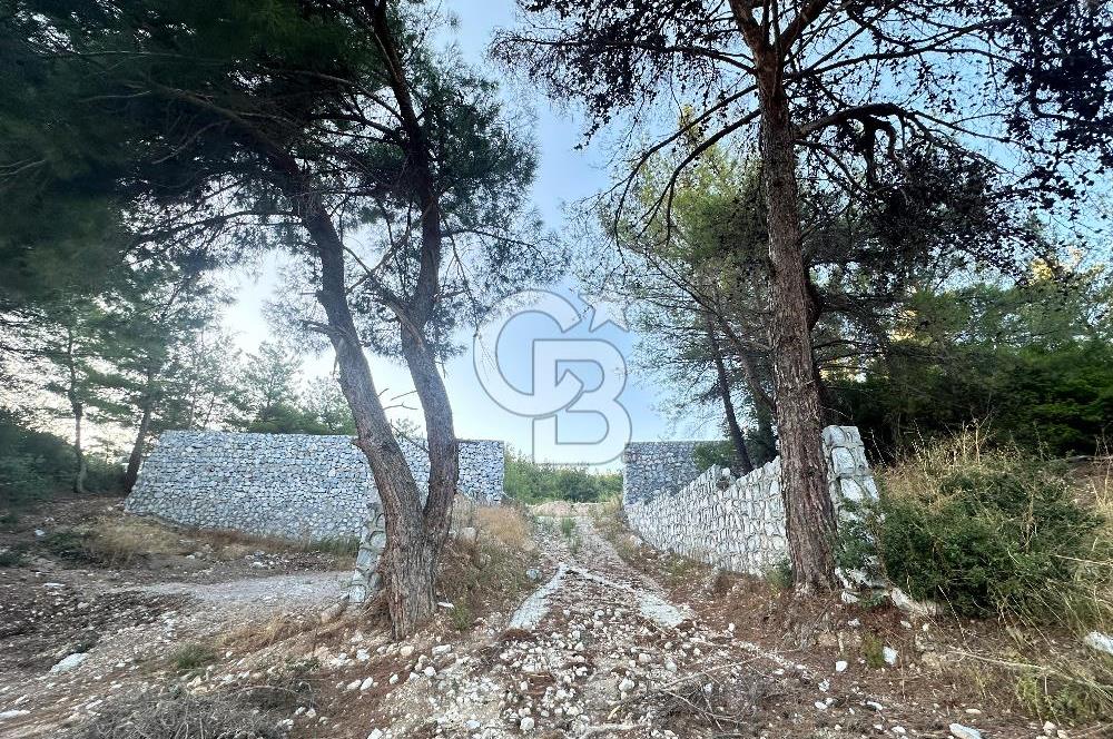 Buca Karaağaç Budalabağları Mevkiinde 3.300 m² Yatırımlık Tarla