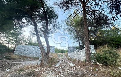 Buca Karaağaç Budalabağları Mevkiinde 3.300 m² Yatırımlık Tarla