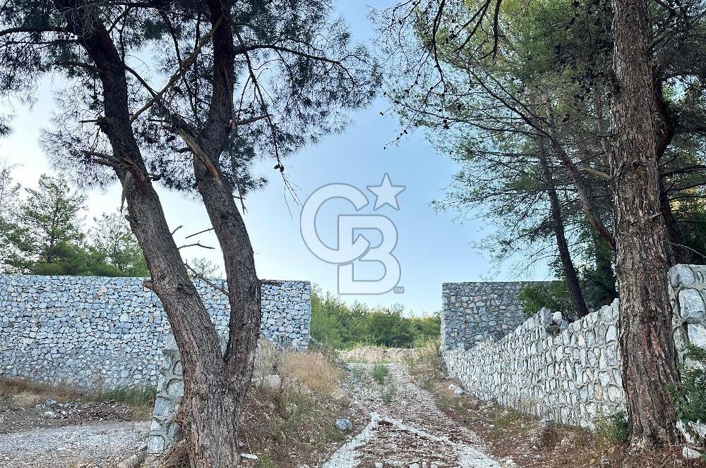 Buca Karaağaç Budalabağları Mevkiinde 3.300 m² Yatırımlık Tarla