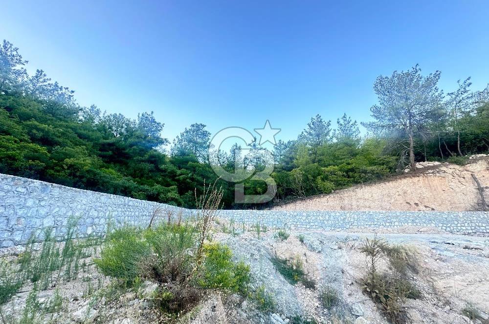 Buca Karaağaç Budalabağları Mevkiinde 3.300 m² Yatırımlık Tarla