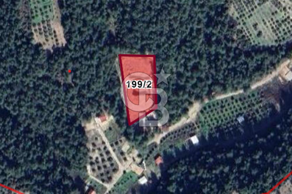 Buca Karaağaç Budalabağları Mevkiinde 3.300 m² Yatırımlık Tarla