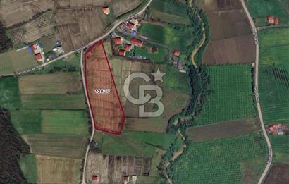 TAŞDEMİR YERLEŞİM MERKEZİNDE SATILIK TARLA