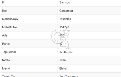TAŞDEMİR YERLEŞİM MERKEZİNDE SATILIK TARLA