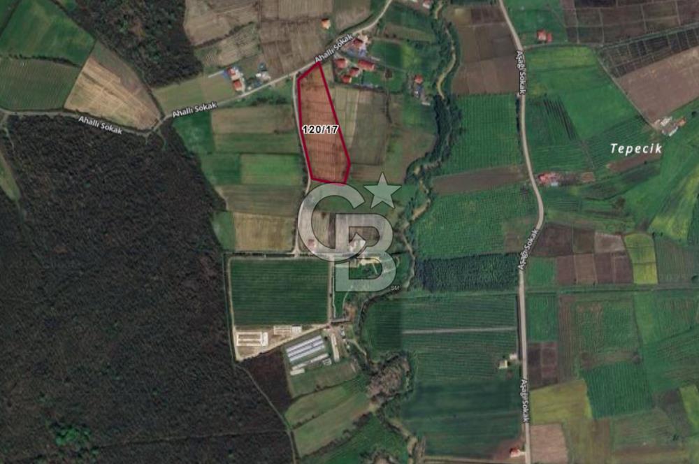 TAŞDEMİR YERLEŞİM MERKEZİNDE SATILIK TARLA