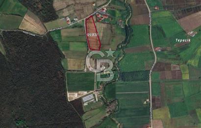 TAŞDEMİR YERLEŞİM MERKEZİNDE SATILIK TARLA