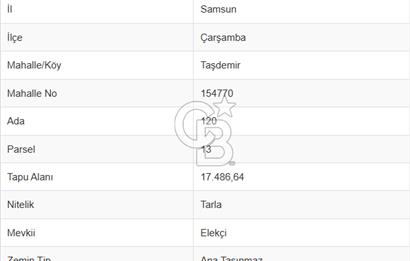 TAŞDEMİR YERLEŞİM MERKEZİNDE SATILIK TARLA 2
