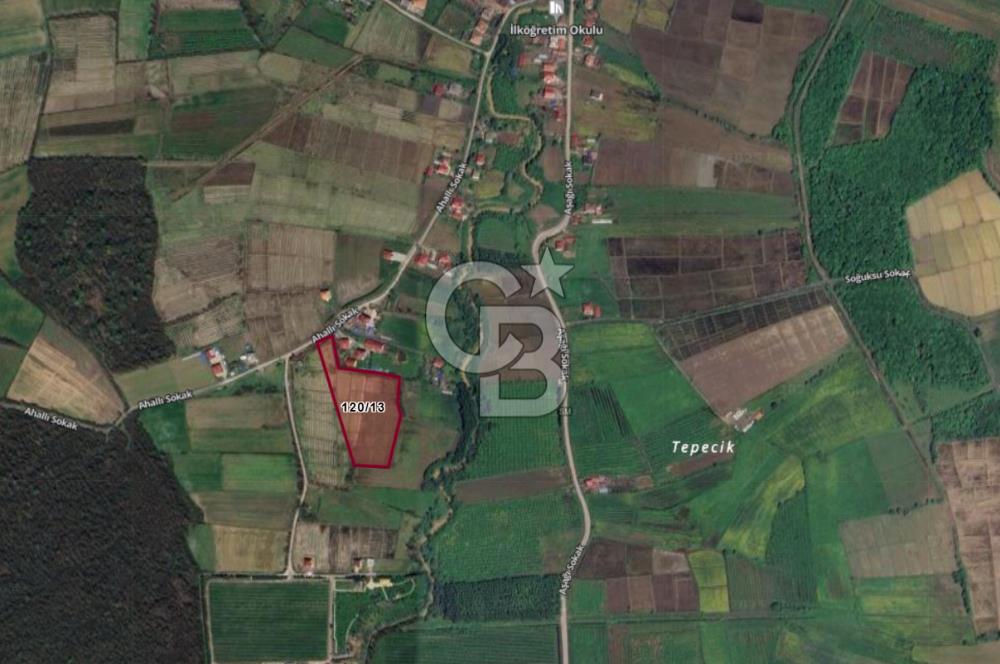 TAŞDEMİR YERLEŞİM MERKEZİNDE SATILIK TARLA 2