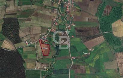 TAŞDEMİR YERLEŞİM MERKEZİNDE SATILIK TARLA 2