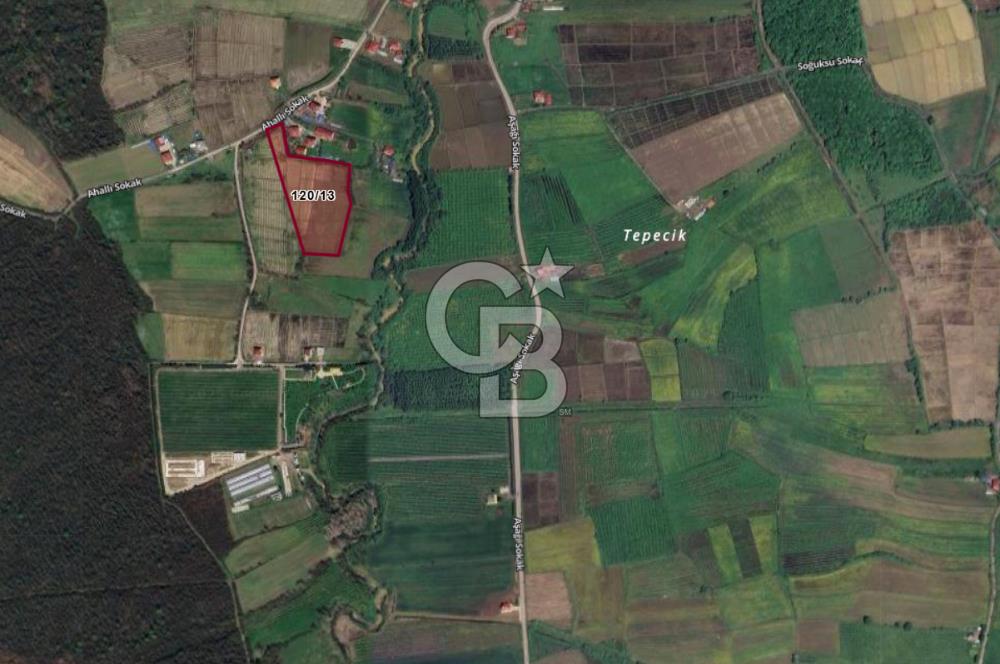 TAŞDEMİR YERLEŞİM MERKEZİNDE SATILIK TARLA 2