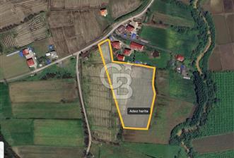 TAŞDEMİR YERLEŞİM MERKEZİNDE SATILIK TARLA 2 - 10 - 320150