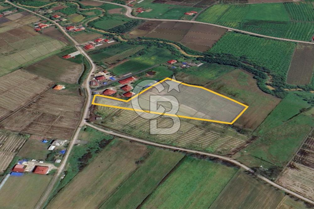 TAŞDEMİR YERLEŞİM MERKEZİNDE SATILIK TARLA 2