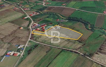 TAŞDEMİR YERLEŞİM MERKEZİNDE SATILIK TARLA 2