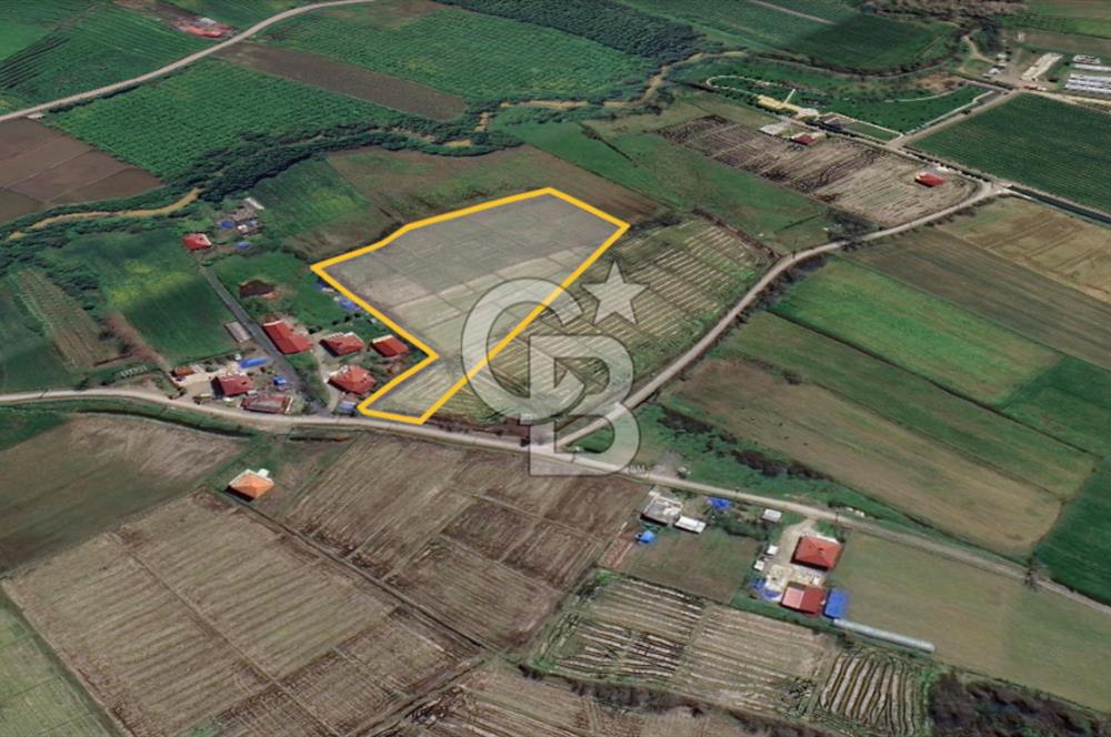 TAŞDEMİR YERLEŞİM MERKEZİNDE SATILIK TARLA 2