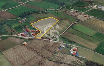 TAŞDEMİR YERLEŞİM MERKEZİNDE SATILIK TARLA 2