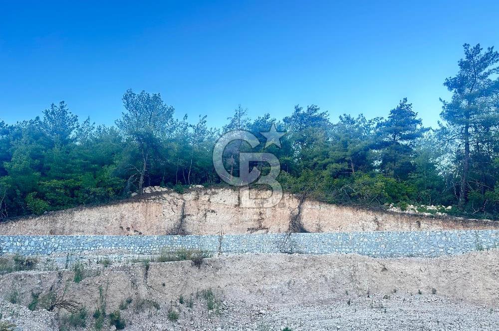 Buca Karaağaç Budalabağları Mevkiinde 3.300 m² Yatırımlık Tarla