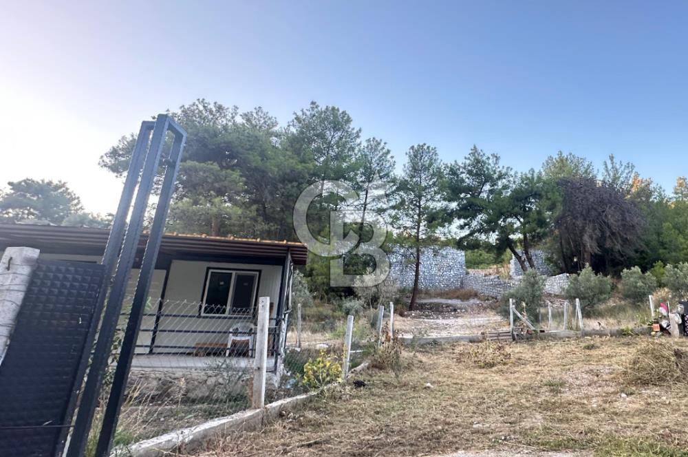 Buca Karaağaç Budalabağları Mevkiinde 3.300 m² Yatırımlık Tarla