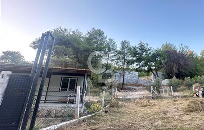 Buca Karaağaç Budalabağları Mevkiinde 3.300 m² Yatırımlık Tarla