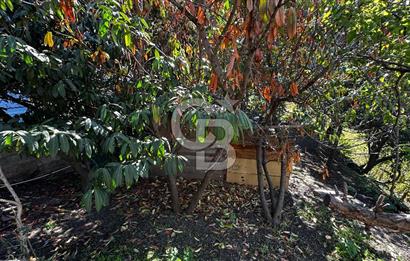 Kuleli'de Boğaz Manzalı Satılık 2 Katlı Bahçeli Müstakil Ev