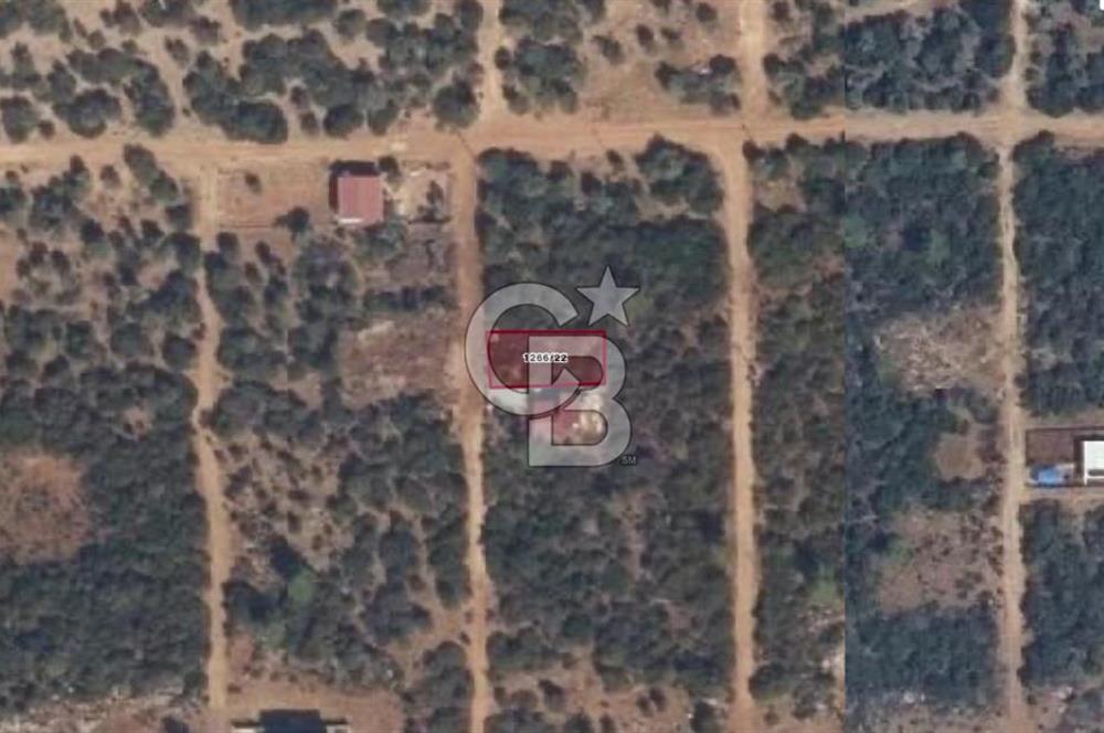 Aydın Didim Akyeniköy de Satılık Villa Arsası