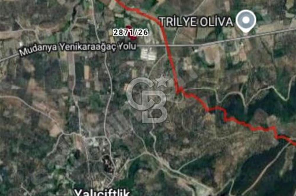 CB BLACK'TAN MUDANYA YALIÇİFTLİK'TE YOLA PARSEL TARLA