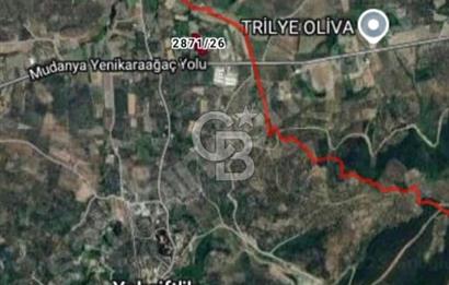 CB BLACK'TAN MUDANYA YALIÇİFTLİK'TE YOLA PARSEL TARLA