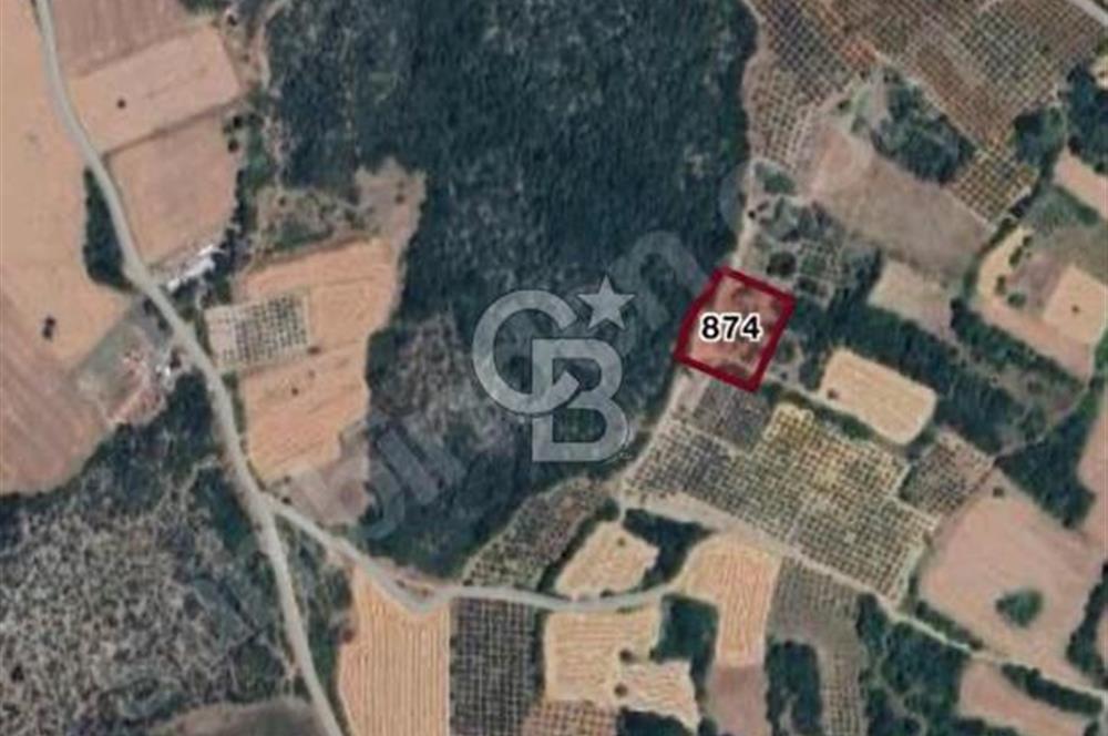 CB BLACK'TEN NİLÜFER BAŞKÖY PLAN İÇİNDE 1.812m2 TARLA