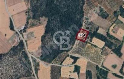 CB BLACK'TEN NİLÜFER BAŞKÖY PLAN İÇİNDE 1.812m2 TARLA