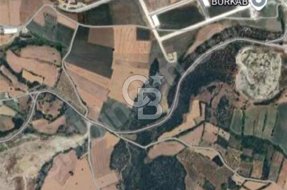 CB BLACK'TEN NİLÜFER BAŞKÖY PLAN İÇİNDE 1.812m2 TARLA