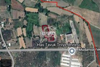 CB BLACK'TAN MUDANYA YALIÇİFTLİK'TE YOLA PARSEL TARLA - 6 - 320146