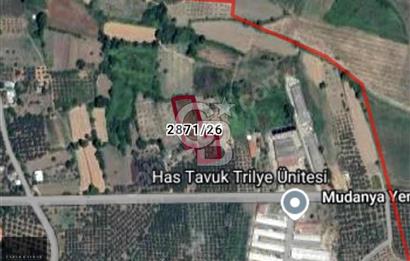 CB BLACK'TAN MUDANYA YALIÇİFTLİK'TE YOLA PARSEL TARLA