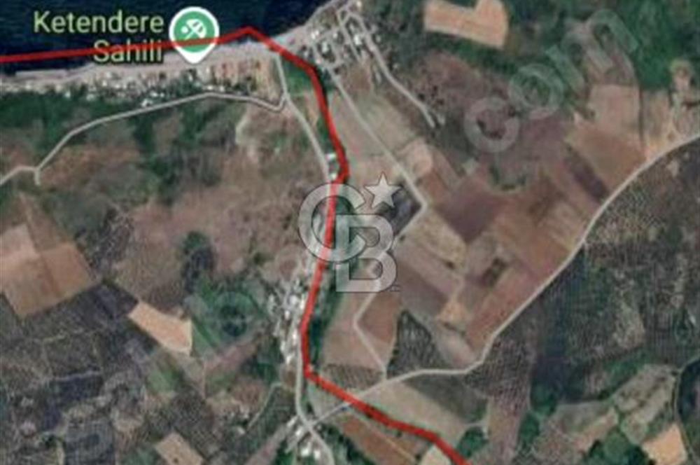 CB BLACK'TAN MUDANYA YALIÇİFTLİK'TE YOLA PARSEL TARLA