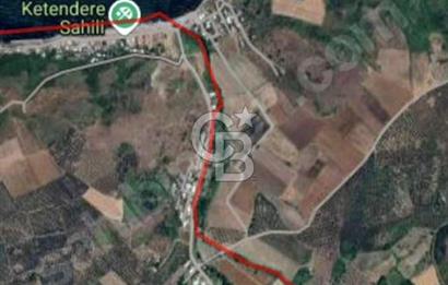 CB BLACK'TAN MUDANYA YALIÇİFTLİK'TE YOLA PARSEL TARLA