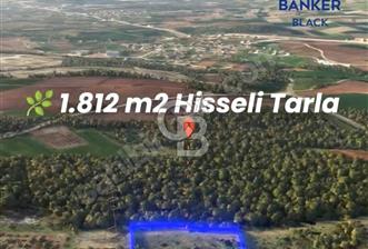 CB BLACK'TEN NİLÜFER BAŞKÖY PLAN İÇİNDE 1.812m2 TARLA - 5 - 320129