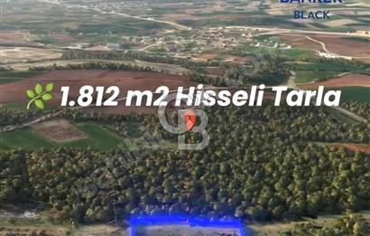 CB BLACK'TEN NİLÜFER BAŞKÖY PLAN İÇİNDE 1.812m2 TARLA