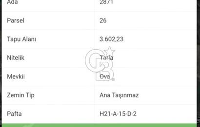 CB BLACK'TAN MUDANYA YALIÇİFTLİK'TE YOLA PARSEL TARLA