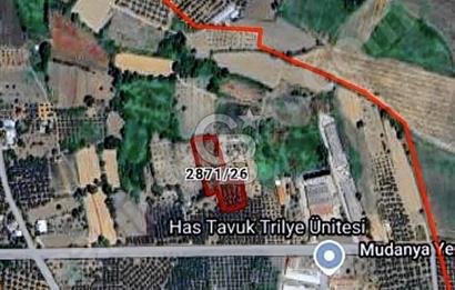 CB BLACK'TAN MUDANYA YALIÇİFTLİK'TE YOLA PARSEL TARLA