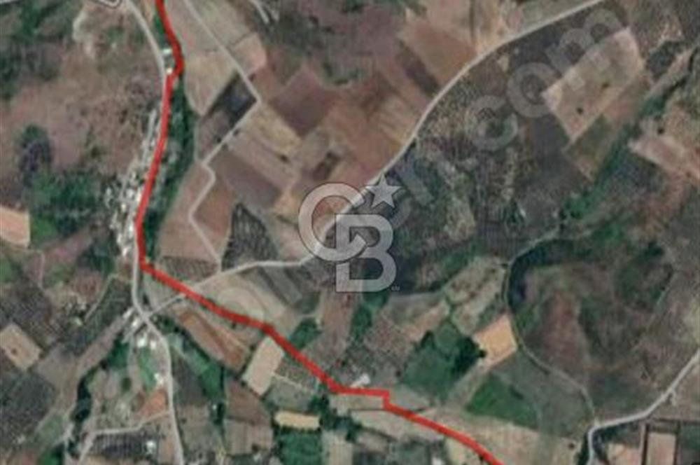 CB BLACK'TAN MUDANYA YALIÇİFTLİK'TE YOLA PARSEL TARLA