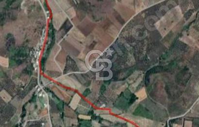 CB BLACK'TAN MUDANYA YALIÇİFTLİK'TE YOLA PARSEL TARLA