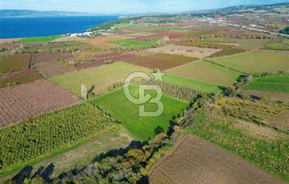 ÇANAKKALE MERKEZ YAPILDAK KÖYÜ 11.516 M² SATILIK TARLA