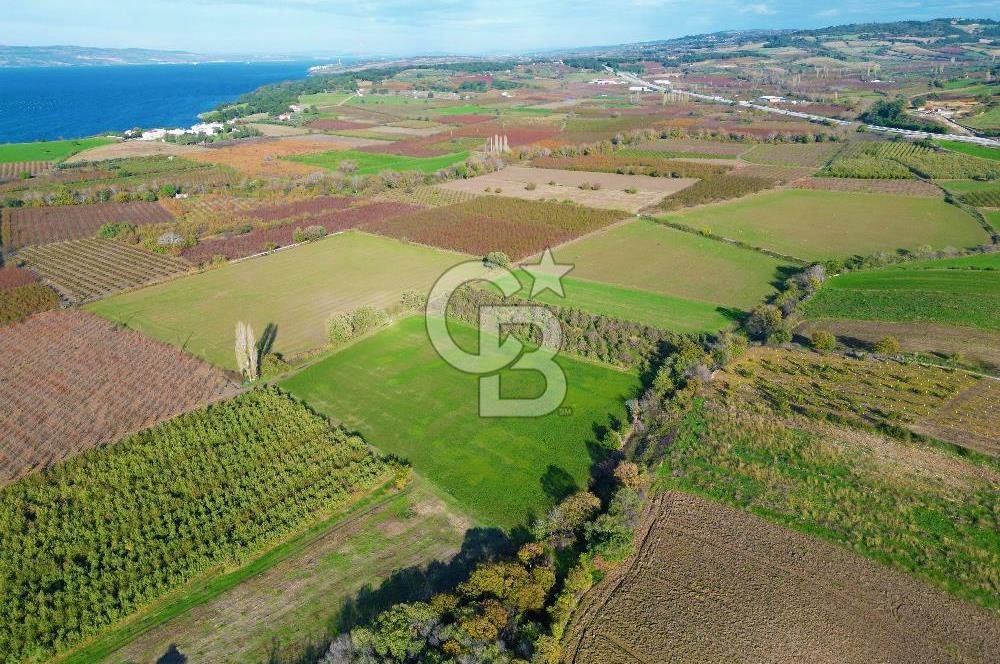 ÇANAKKALE MERKEZ YAPILDAK KÖYÜ 11.516 M² SATILIK TARLA
