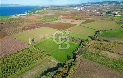 ÇANAKKALE MERKEZ YAPILDAK KÖYÜ 11.516 M² SATILIK TARLA