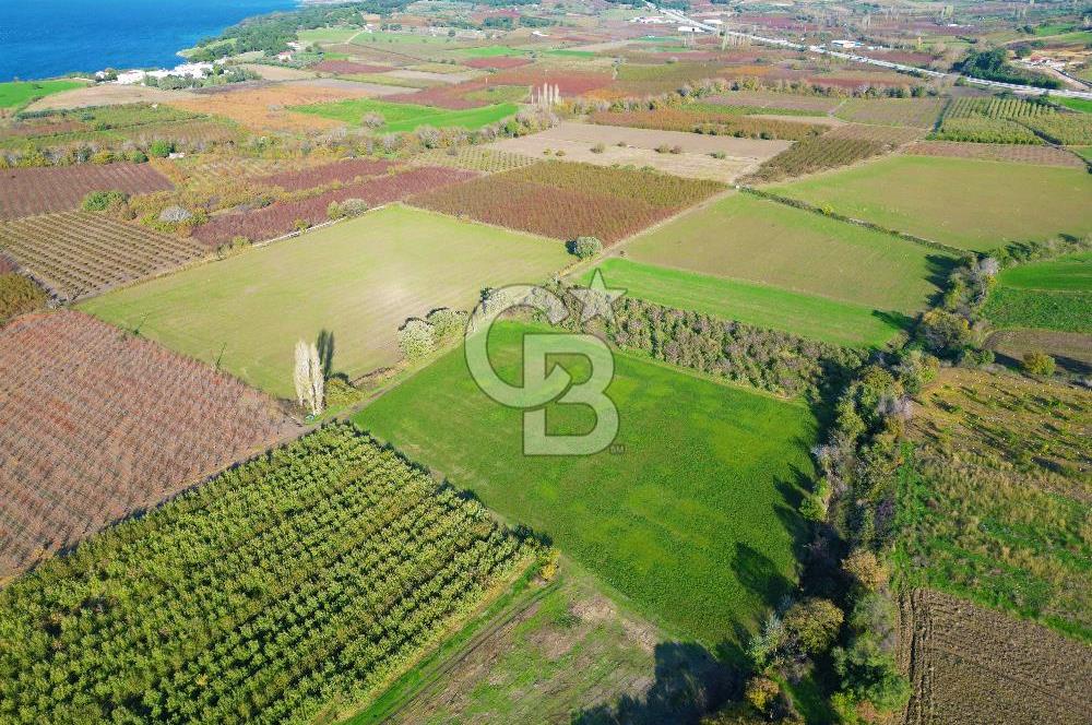 ÇANAKKALE MERKEZ YAPILDAK KÖYÜ 11.516 M² SATILIK TARLA