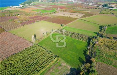 ÇANAKKALE MERKEZ YAPILDAK KÖYÜ 11.516 M² SATILIK TARLA