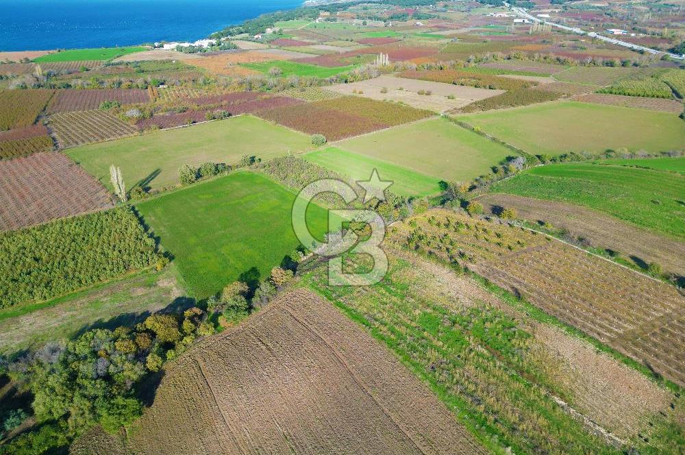 ÇANAKKALE MERKEZ YAPILDAK KÖYÜ 11.516 M² SATILIK TARLA