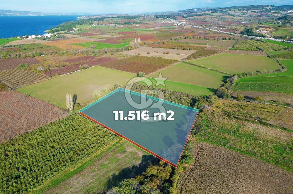 ÇANAKKALE MERKEZ YAPILDAK KÖYÜ 11.516 M² SATILIK TARLA