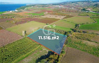 ÇANAKKALE MERKEZ YAPILDAK KÖYÜ 11.516 M² SATILIK TARLA