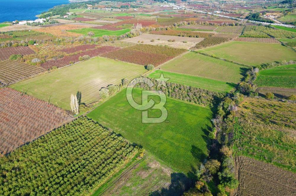 ÇANAKKALE MERKEZ YAPILDAK KÖYÜ 11.516 M² SATILIK TARLA